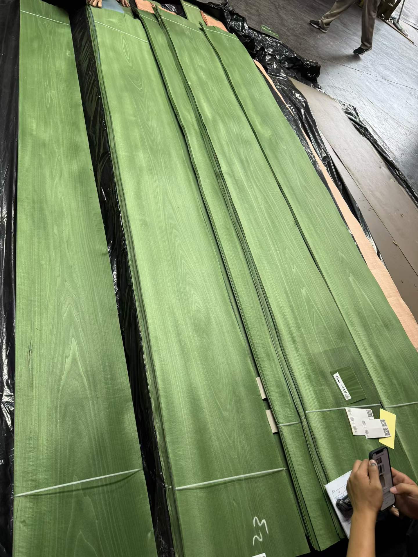 Green dyed veneer leaves with visible natural grain