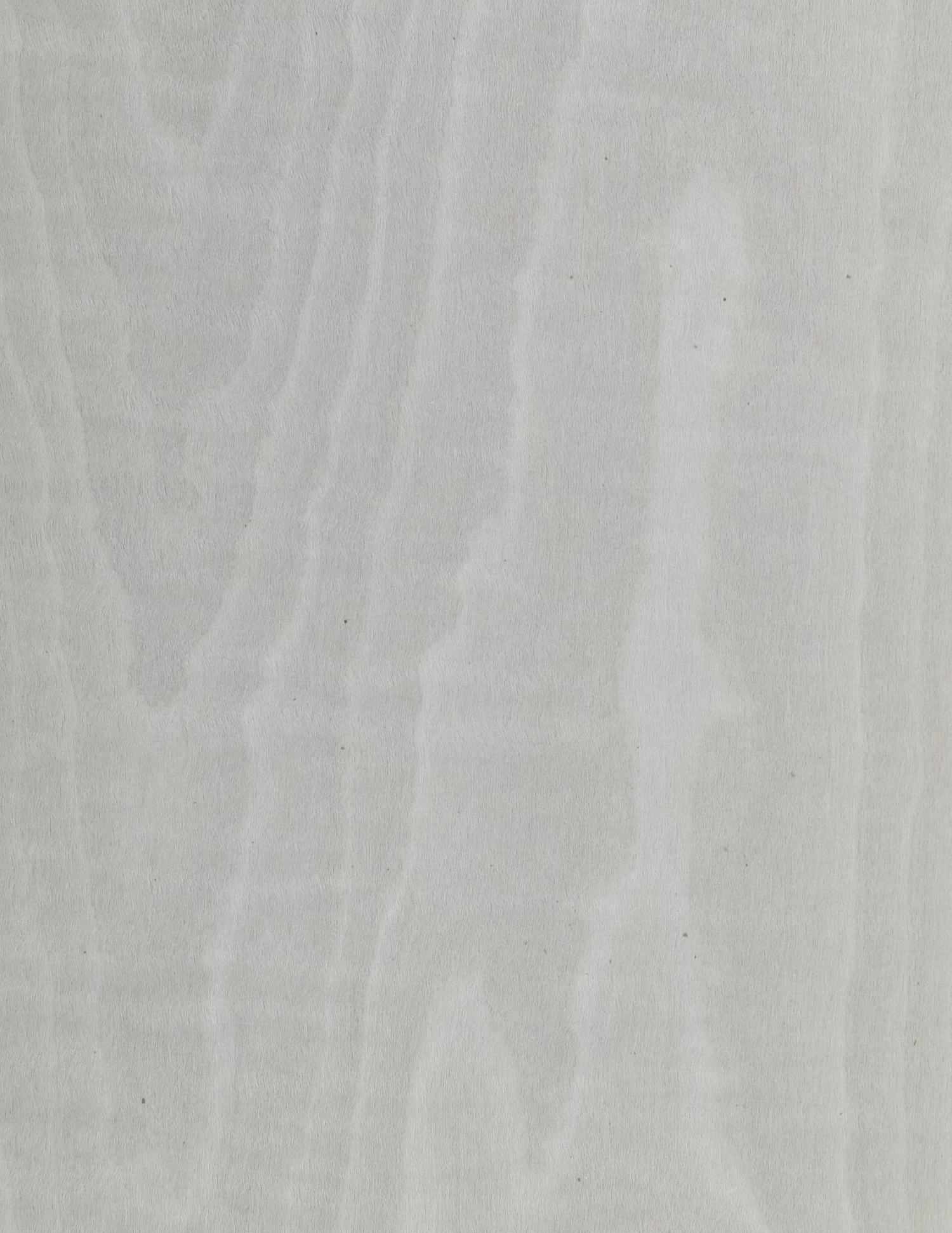 木皮样品